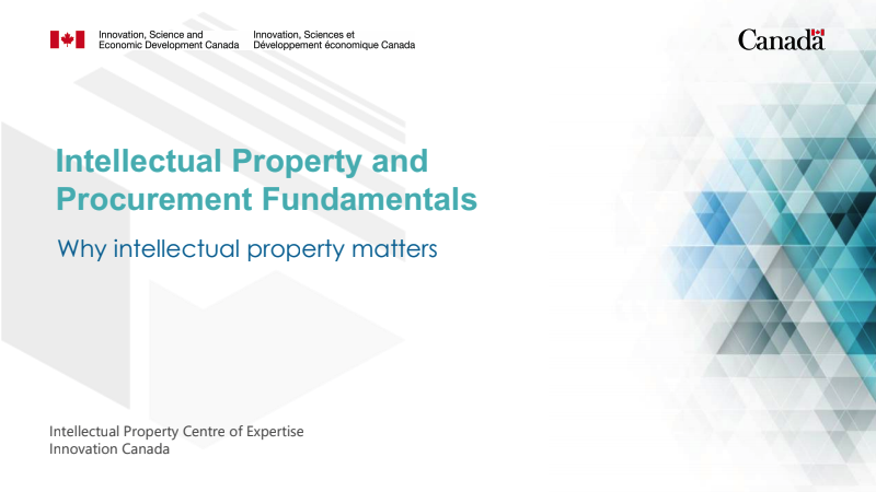 Intellectual Property and Procurement Fundamentals for Government